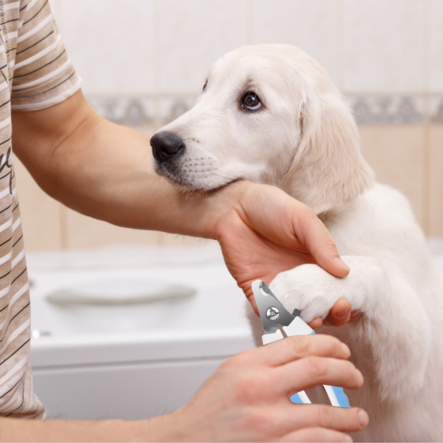 Dog Nail Clippers Pet Cat Nail Toe Trimmer Stainless Steel Grooming Tool