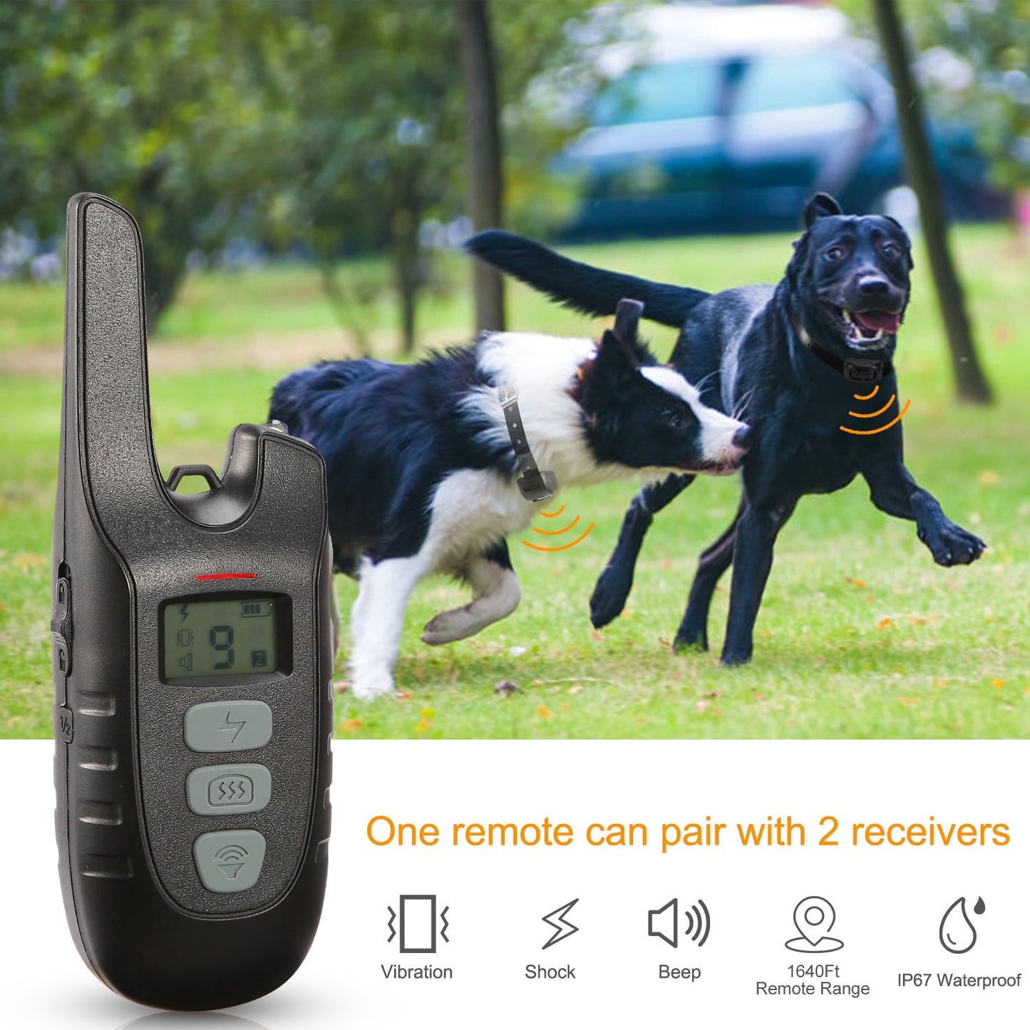 Dog Training Collar IP67 Waterproof Rechargeable Dog Shock Collar