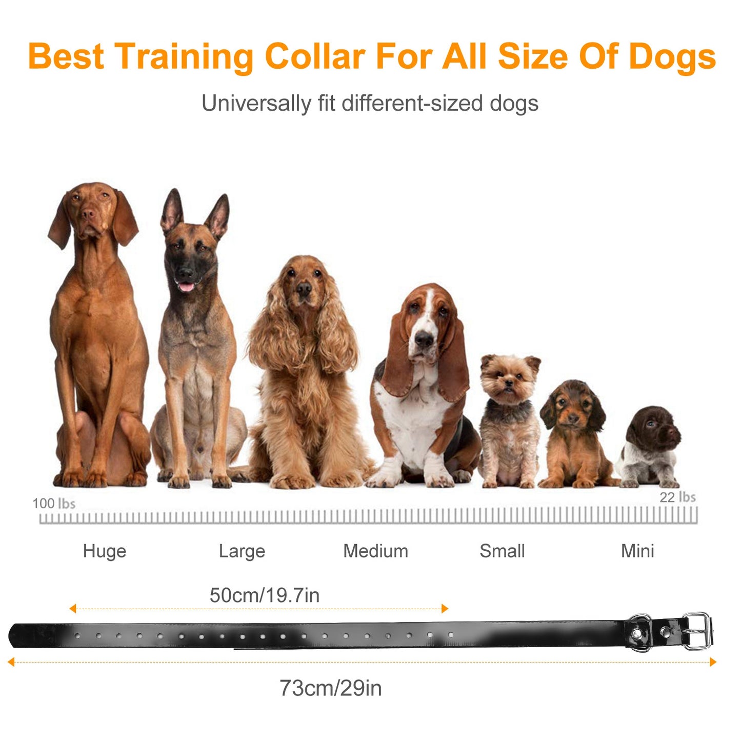 Dog Training Collar IP67 Waterproof Rechargeable Dog Shock Collar