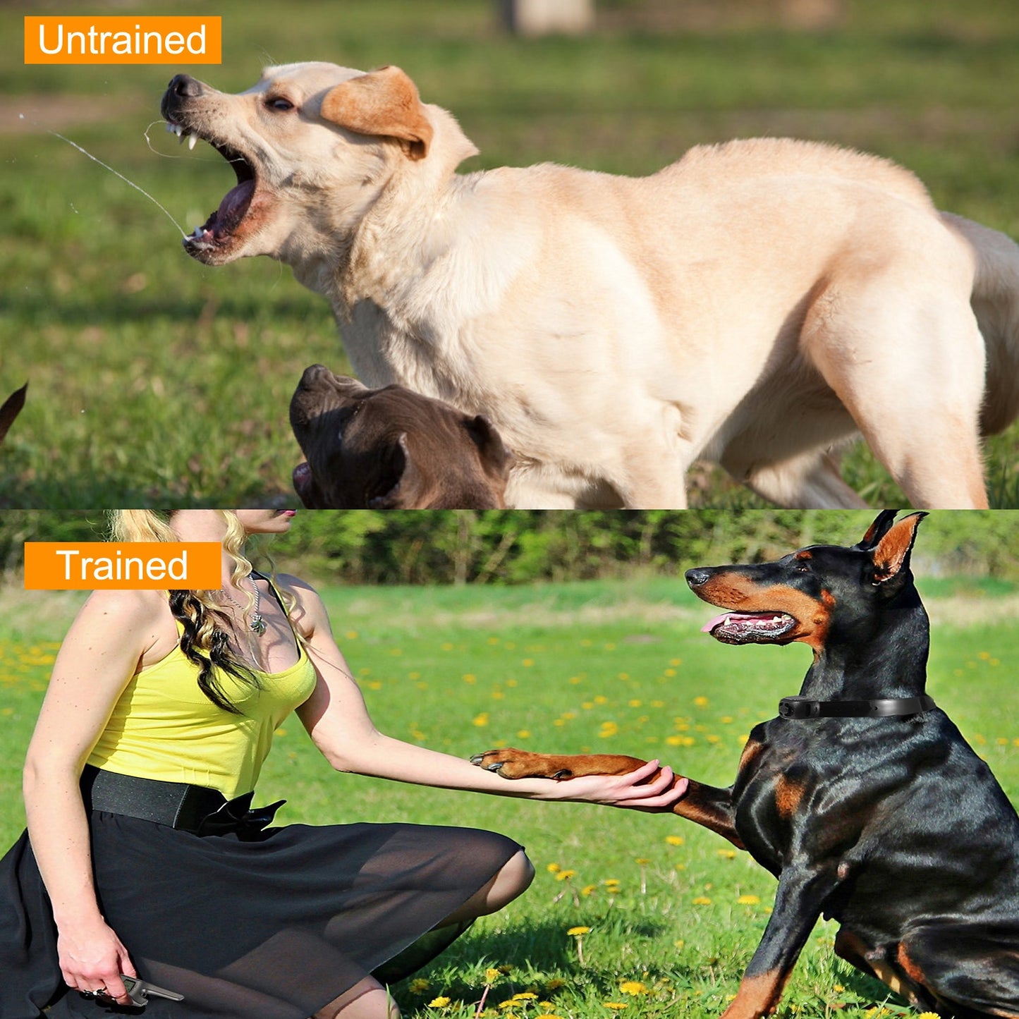 Dog Training Collar IP67 Waterproof Rechargeable Dog Shock Collar
