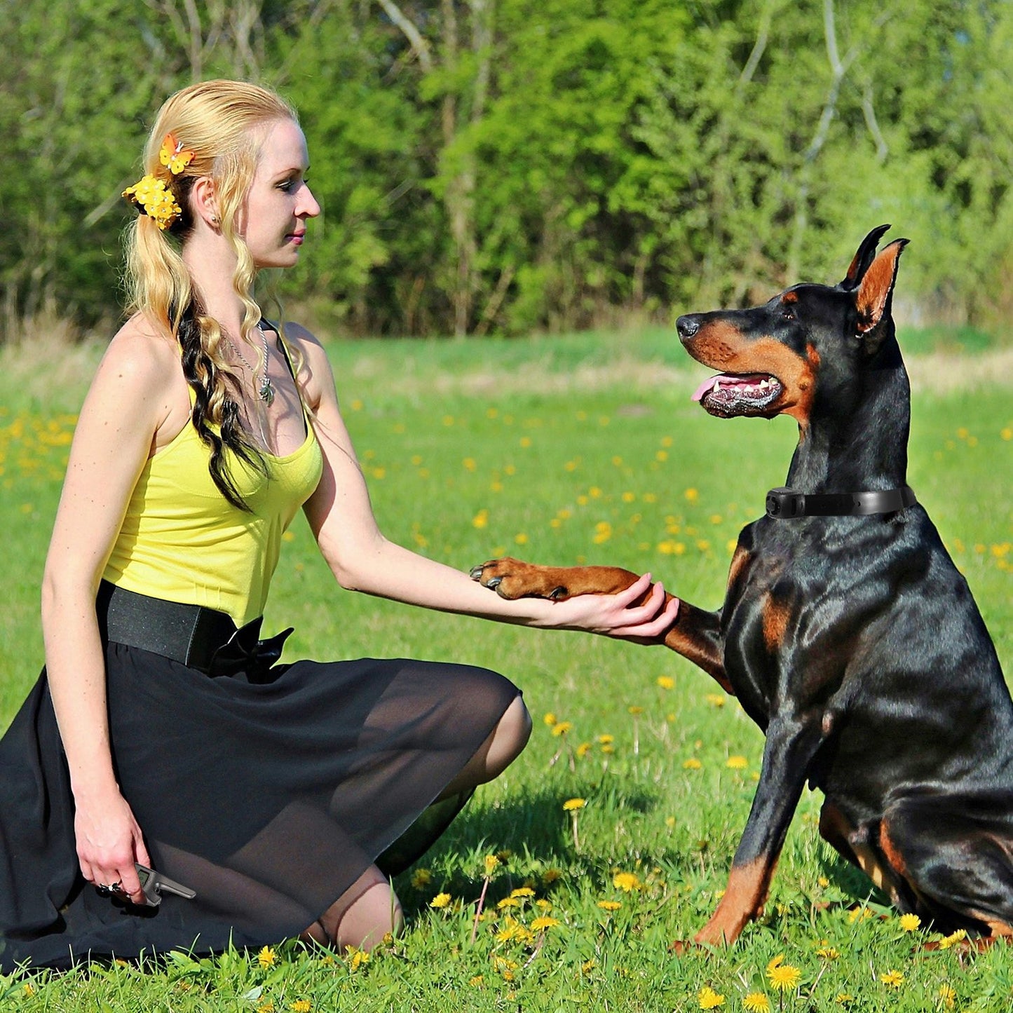Dog Training Collar IP67 Waterproof Rechargeable Dog Shock Collar