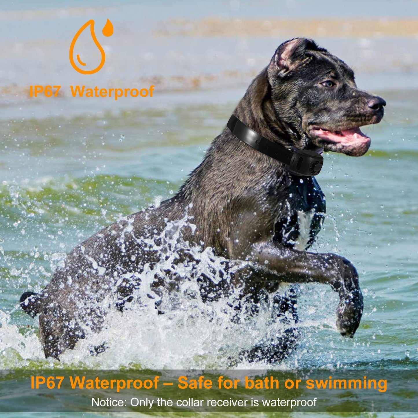 Dog Training Collar IP67 Waterproof Rechargeable Dog Shock Collar