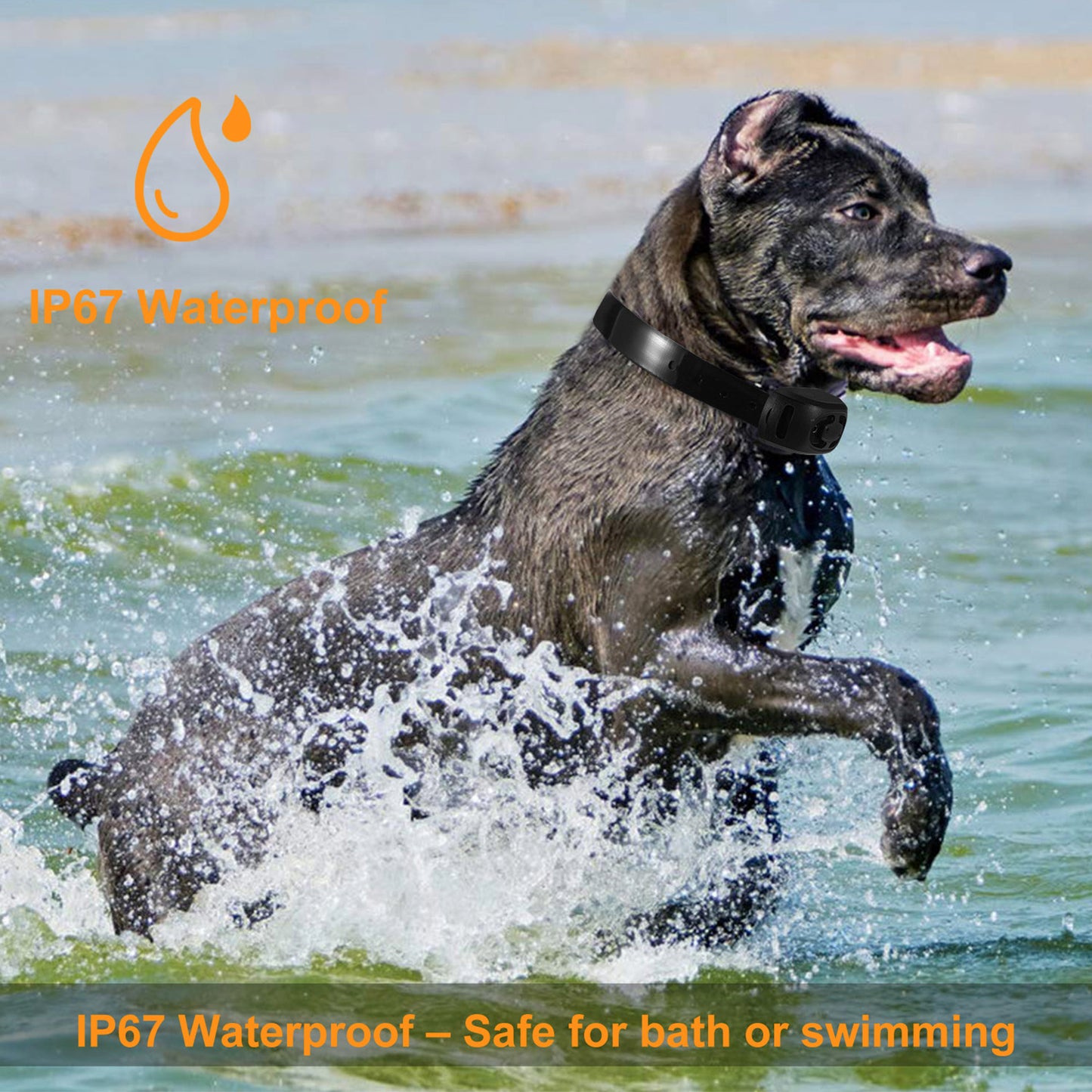 Dog Bark Collar IP67 Waterproof Rechargeable Dog Training Receiver