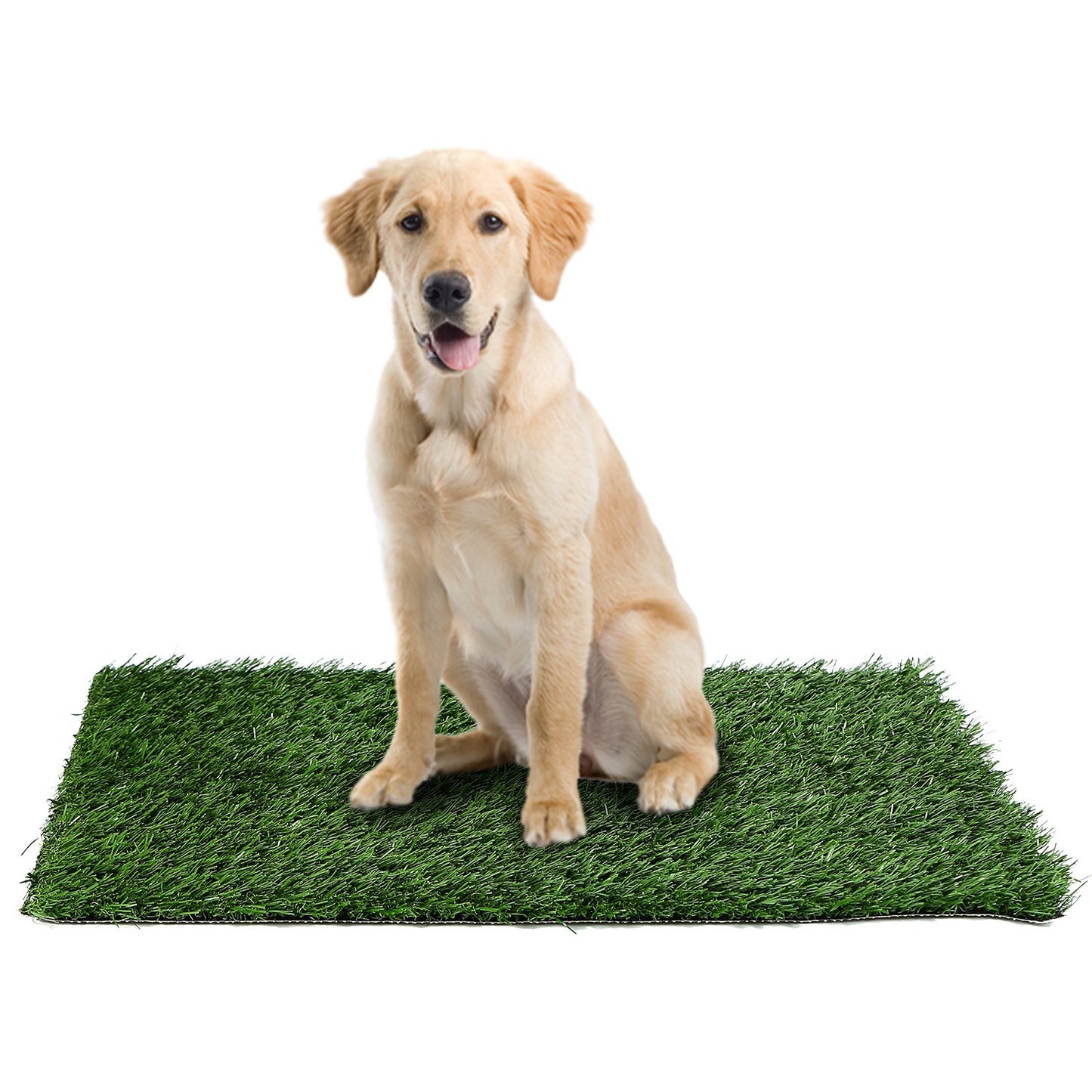 23.23x18.12in Replacement Grass Mat For Pet Potty Tray Dog Pee Potty Grass