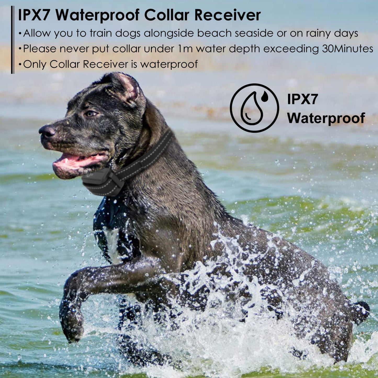 Dog Training Collar IPX7 Waterproof Pet Beep Vibration Electric Shock Collar Rechargeable Transmitter Receiver Trainer w/ Remote