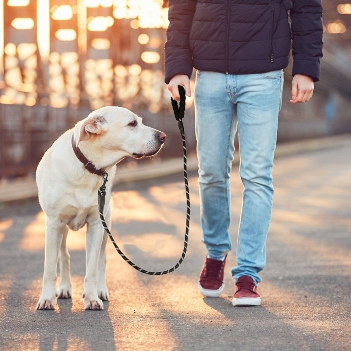 5FT Dog Leash Dog Training Walking Lead w/ Foam Handle Highly Reflective Treads Strong Nylon Dog Rope