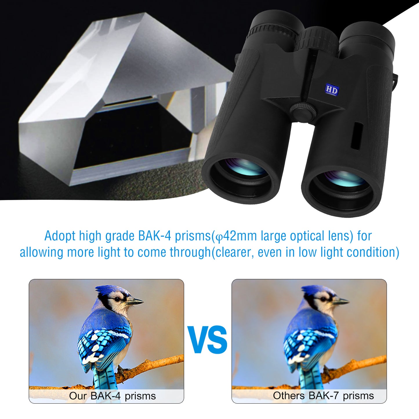 12X Zoom Binoculars with FMC Lens Foldable Telescope for Concert Bird Watching Hunting Sports Events Concerts