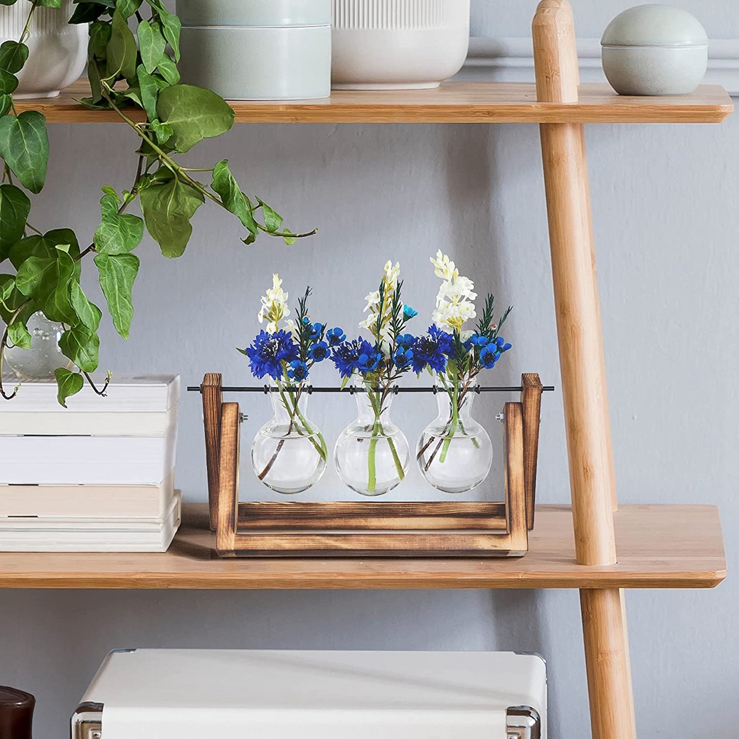 Desktop Glass Planter Bulb Plant Terrarium with Wooden Stand Air Planter Glass Vase Metal Swivel Plant Propagation Station for Hydroponics