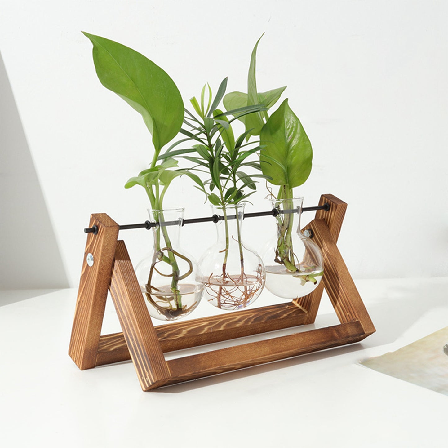 Desktop Glass Planter Bulb Plant Terrarium with Wooden Stand Air Planter Glass Vase Metal Swivel Plant Propagation Station for Hydroponics