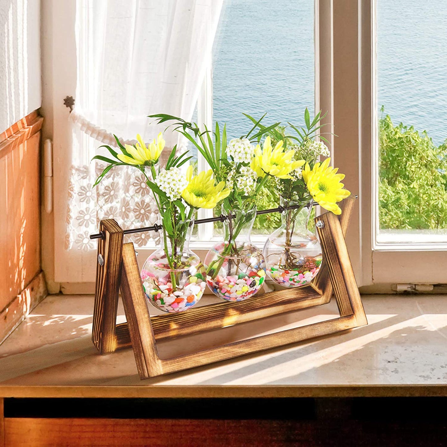 Desktop Glass Planter Bulb Plant Terrarium with Wooden Stand Air Planter Glass Vase Metal Swivel Plant Propagation Station for Hydroponics