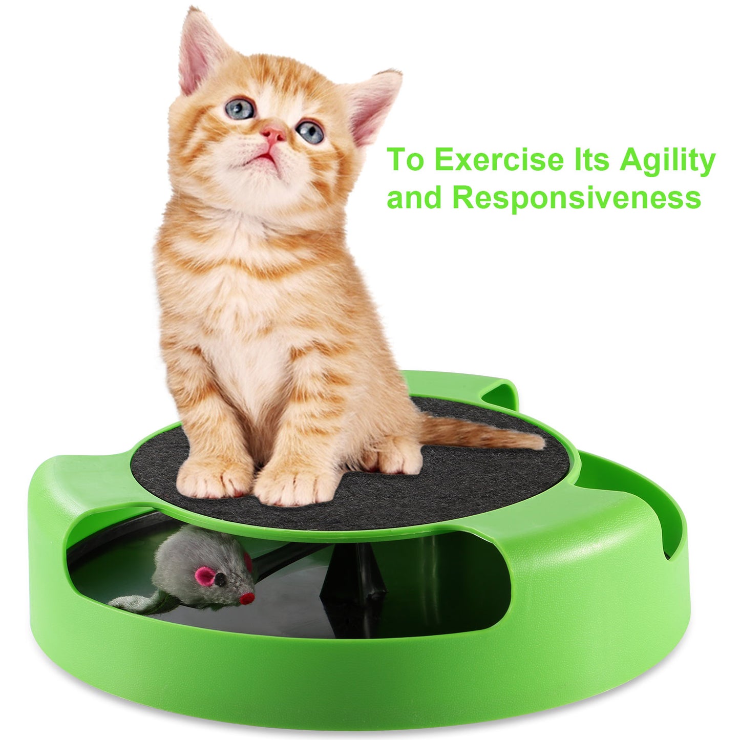 Cat Interactive Scratching Toy w/ Rotating Running Mouse Catching Plate