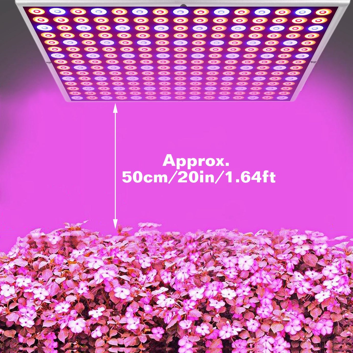 45W LED Grow Light Panel 225 LEDs Plant Grow Lamp Light [Blue Red Type]]