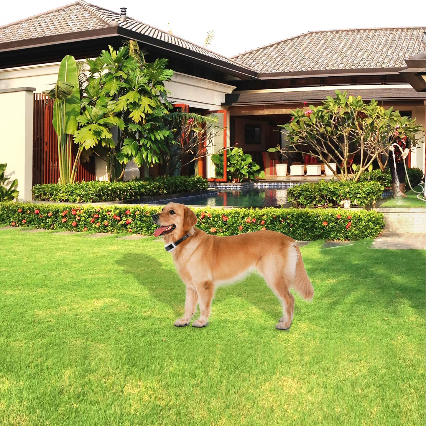 Rechargeable Wireless 1/2/3/3+ Dog Fence Training System