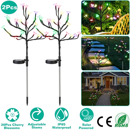 GPCT3374_12735_5