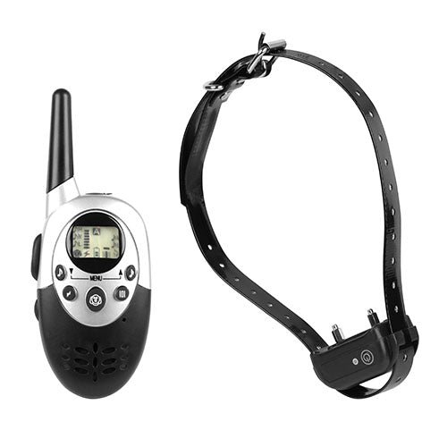 GPCT913_6591_2