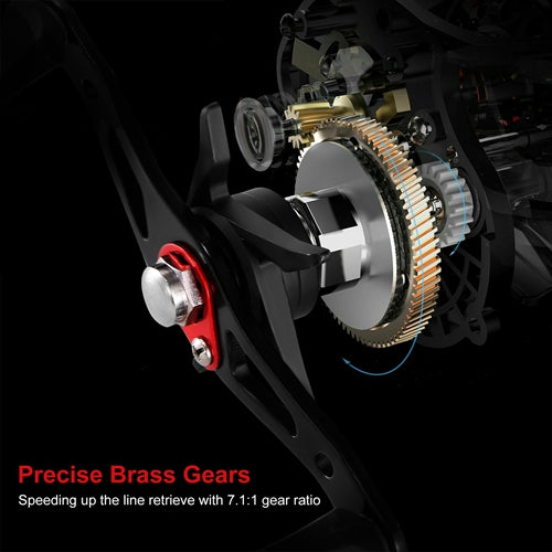 GPCT1825_9117_11