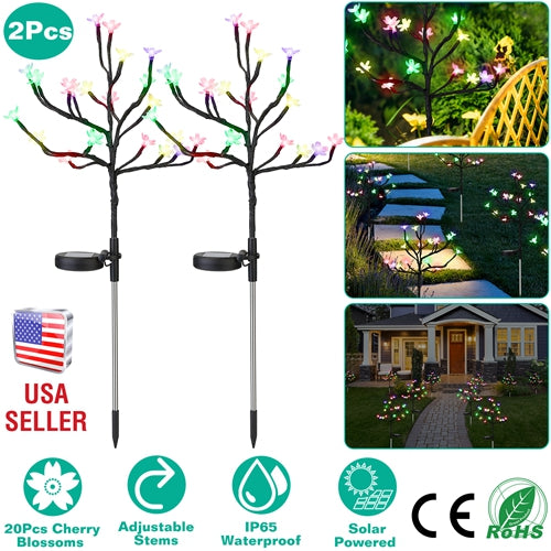 GPCT3374_12735_6