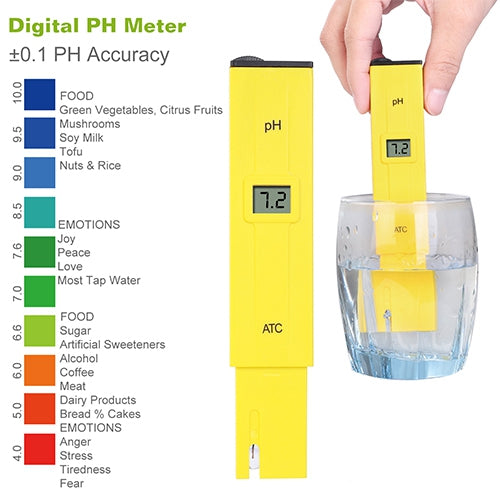 GPCT889_6520_5
