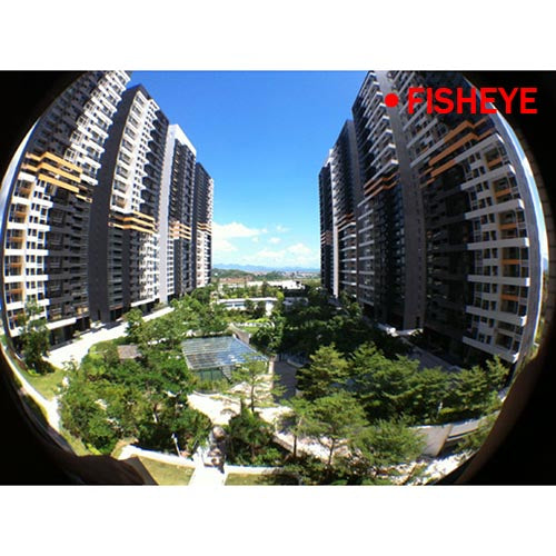 GPCT587_5019_1