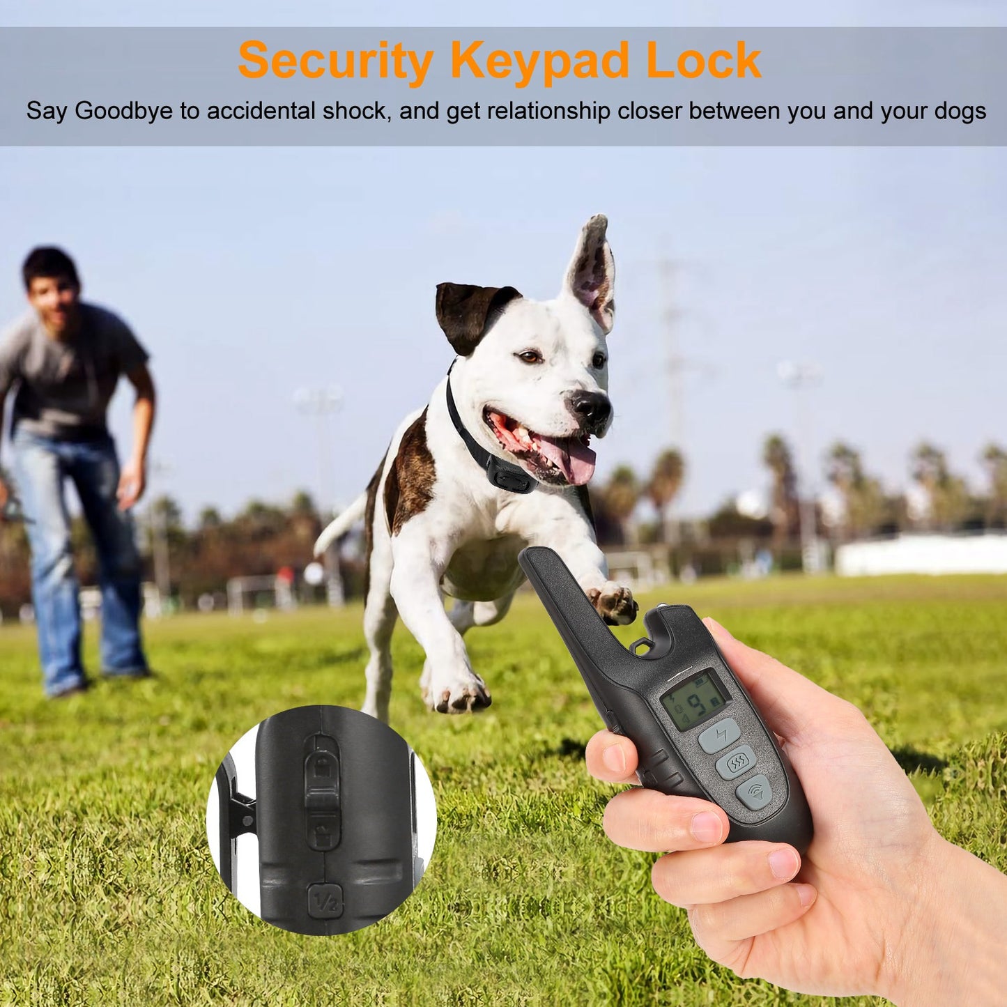 Dog Training Collar IP67 Waterproof Rechargeable Dog Shock Collar