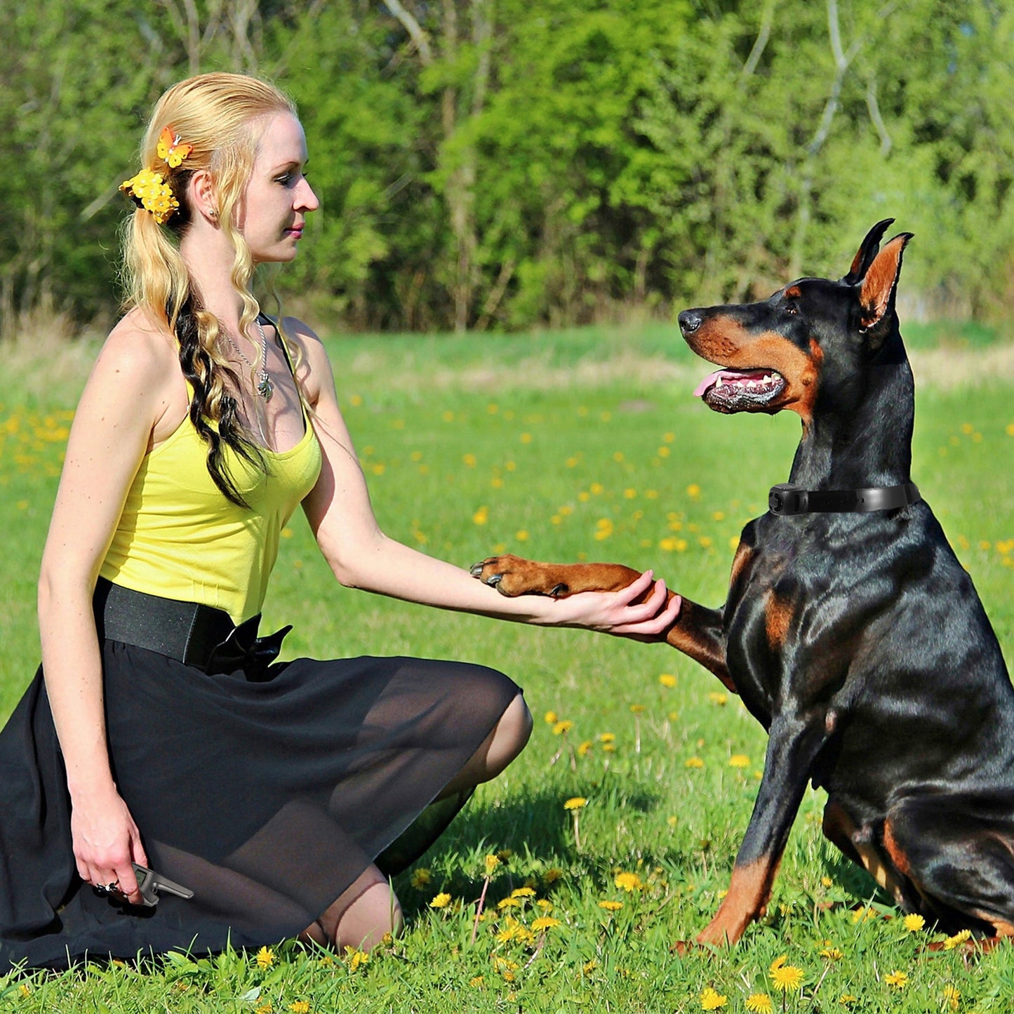 Dog Bark Collar IP67 Waterproof Rechargeable Dog Training Receiver