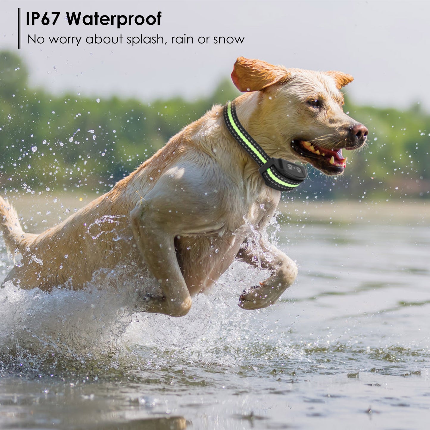 Anti-Bark Dog Collar IP67 Waterproof Beep Electric Shock Rechargeable Pet Training Device w/ 7 Adjustable Sensitivity
