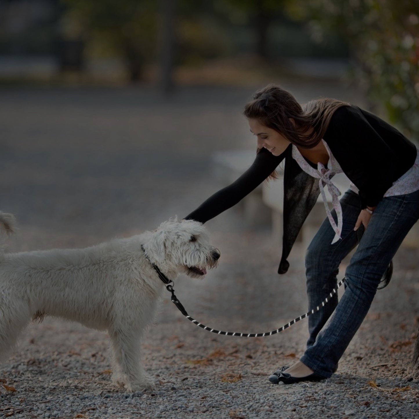 5FT Dog Leash Dog Training Walking Lead w/ Foam Handle Highly Reflective Treads Strong Nylon Dog Rope