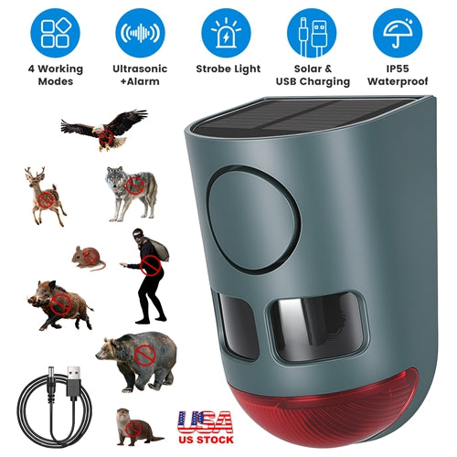 GPCT5706_17876_7