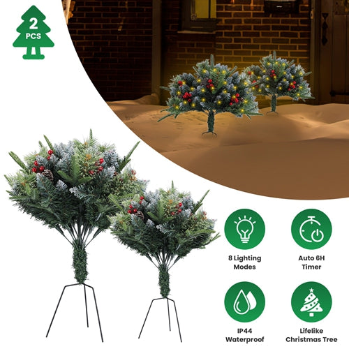 GPCT5554_17403_5