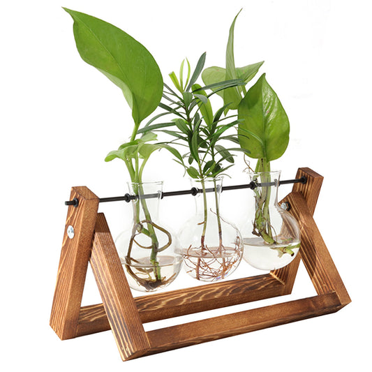 Desktop Glass Planter Bulb Plant Terrarium with Wooden Stand Air Planter Glass Vase Metal Swivel Plant Propagation Station for Hydroponics