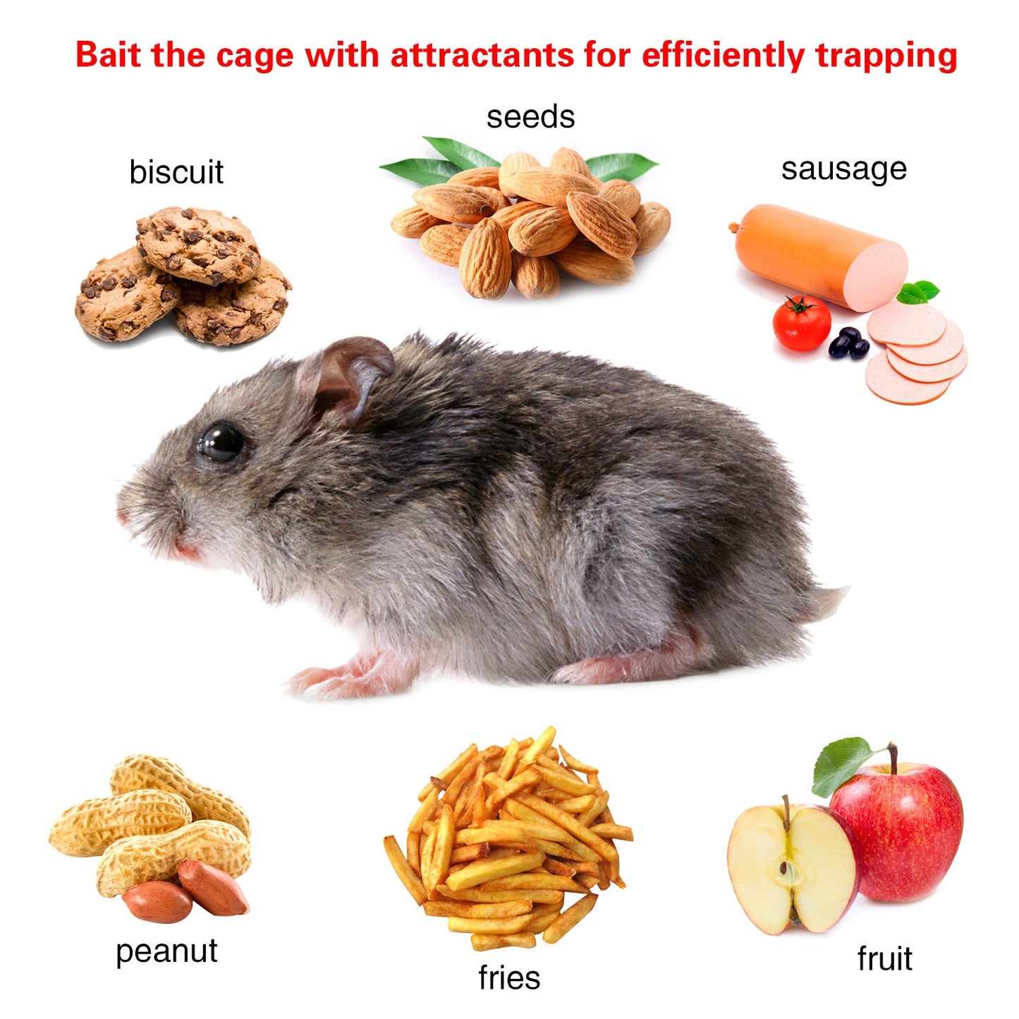 Rat Trap Cage Humane Live Rodent Trap Cage Galvanized Iron Mice Mouse Control