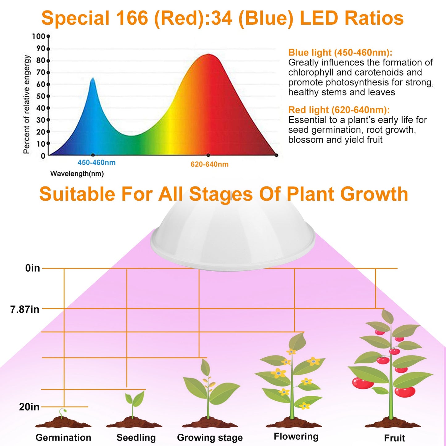 LED Grow Light 12W 200 Red Blue LEDs Plant Grow Lamp 360 Degree Rotatable Plant Light