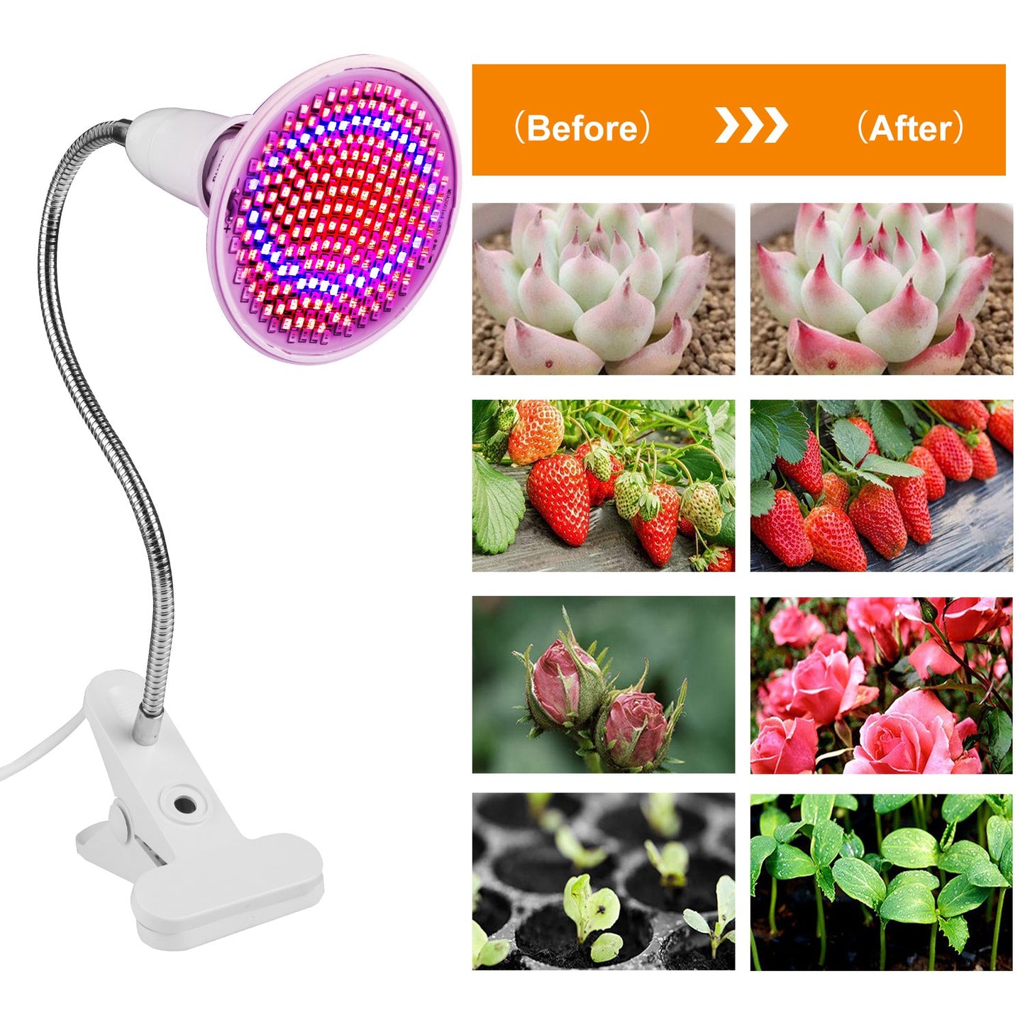 LED Grow Light 12W 200 Red Blue LEDs Plant Grow Lamp 360 Degree Rotatable Plant Light