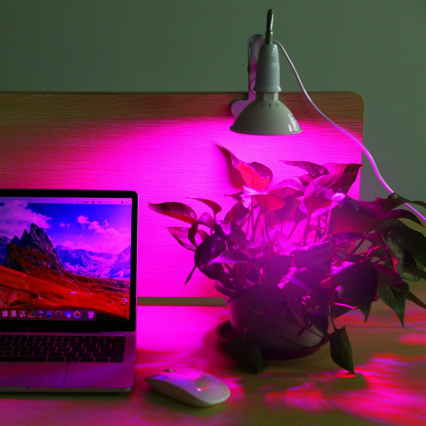 LED Grow Light 12W 200 Red Blue LEDs Plant Grow Lamp 360 Degree Rotatable Plant Light