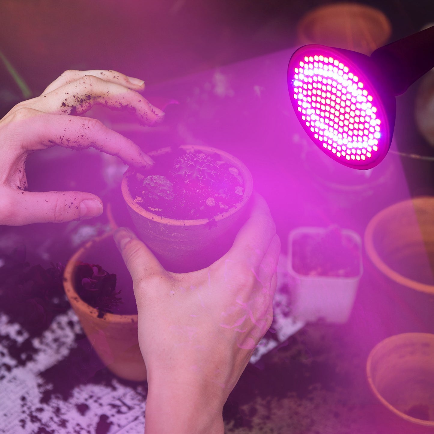LED Grow Light 12W 200 Red Blue LEDs Plant Grow Lamp 360 Degree Rotatable Plant Light
