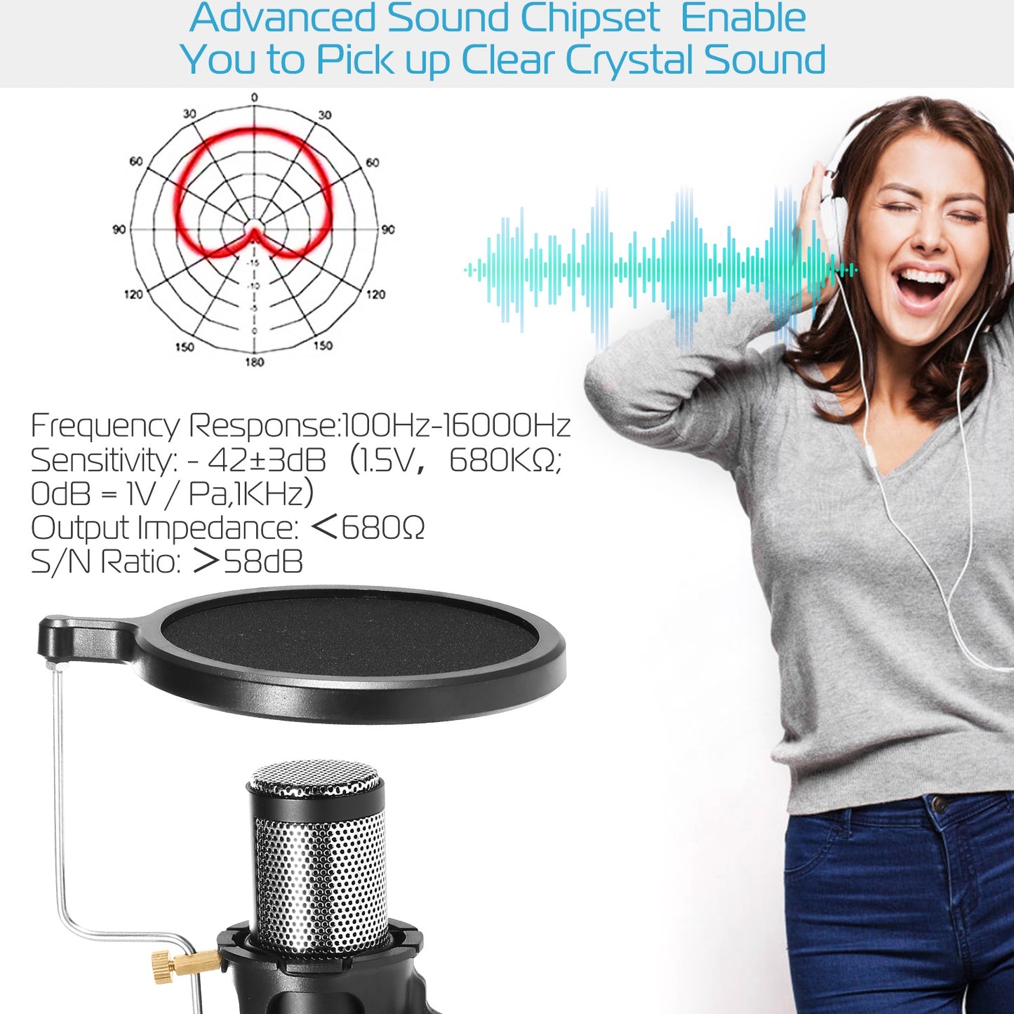 Professional Condenser Microphone Studio Recording Cardioid Microphone